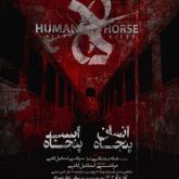 انسان اسب / پنجاه پنجاه